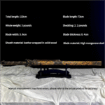 Jiao Dragon Huanshou Sword - Image 2